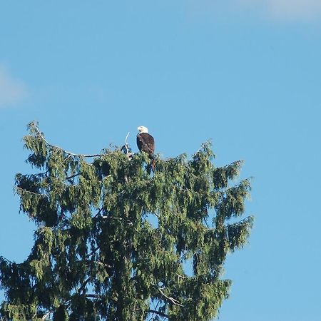 At The Shore Bed And Breakfast Sechelt Bagian luar foto