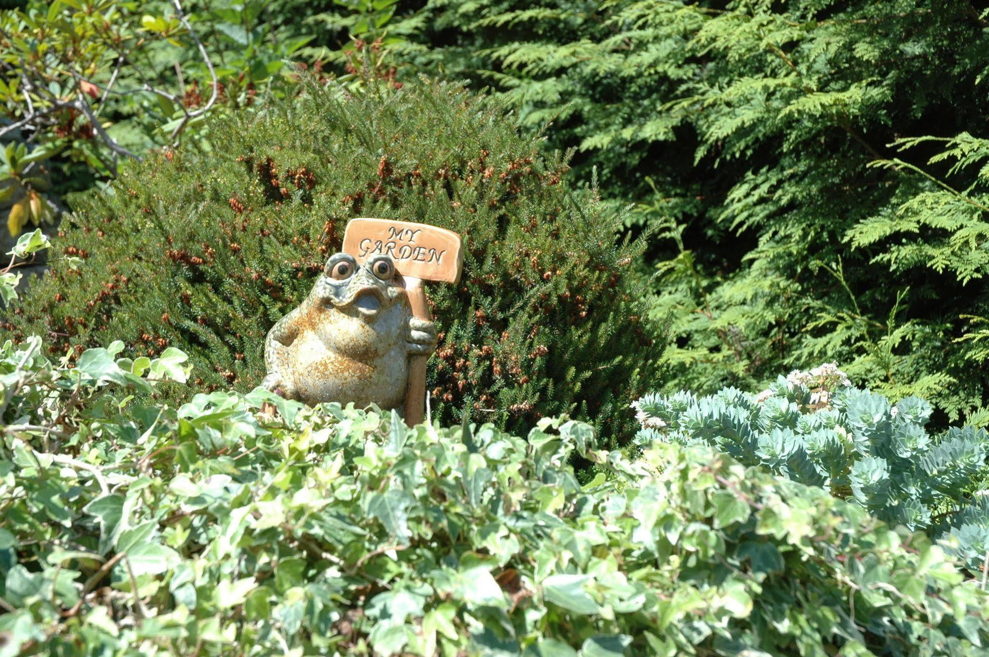 At The Shore Bed And Breakfast Sechelt Bagian luar foto
