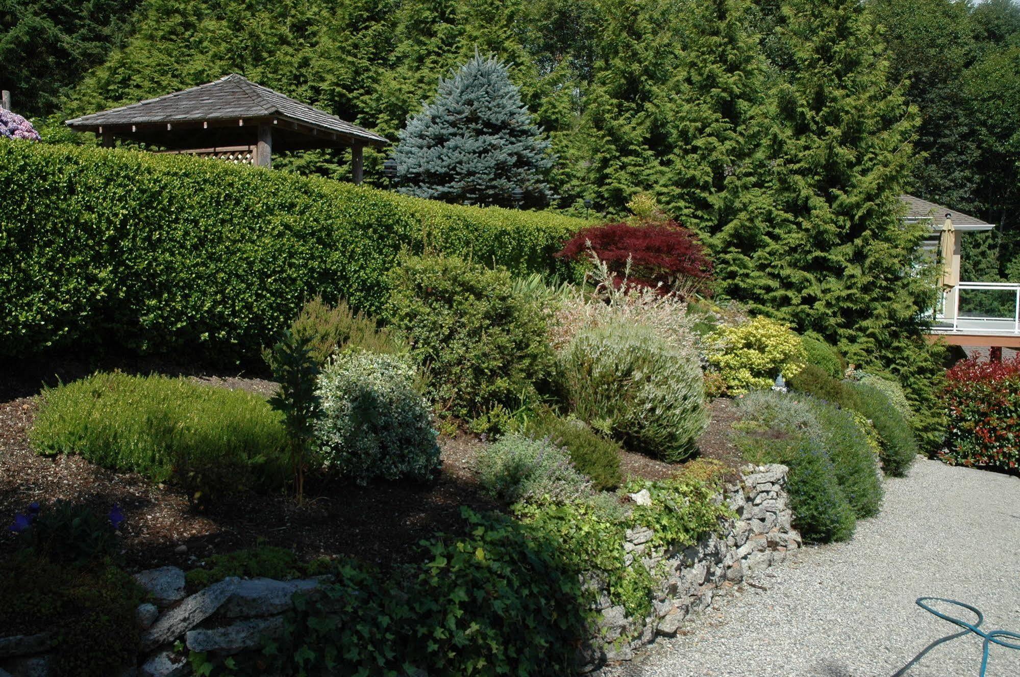 At The Shore Bed And Breakfast Sechelt Bagian luar foto
