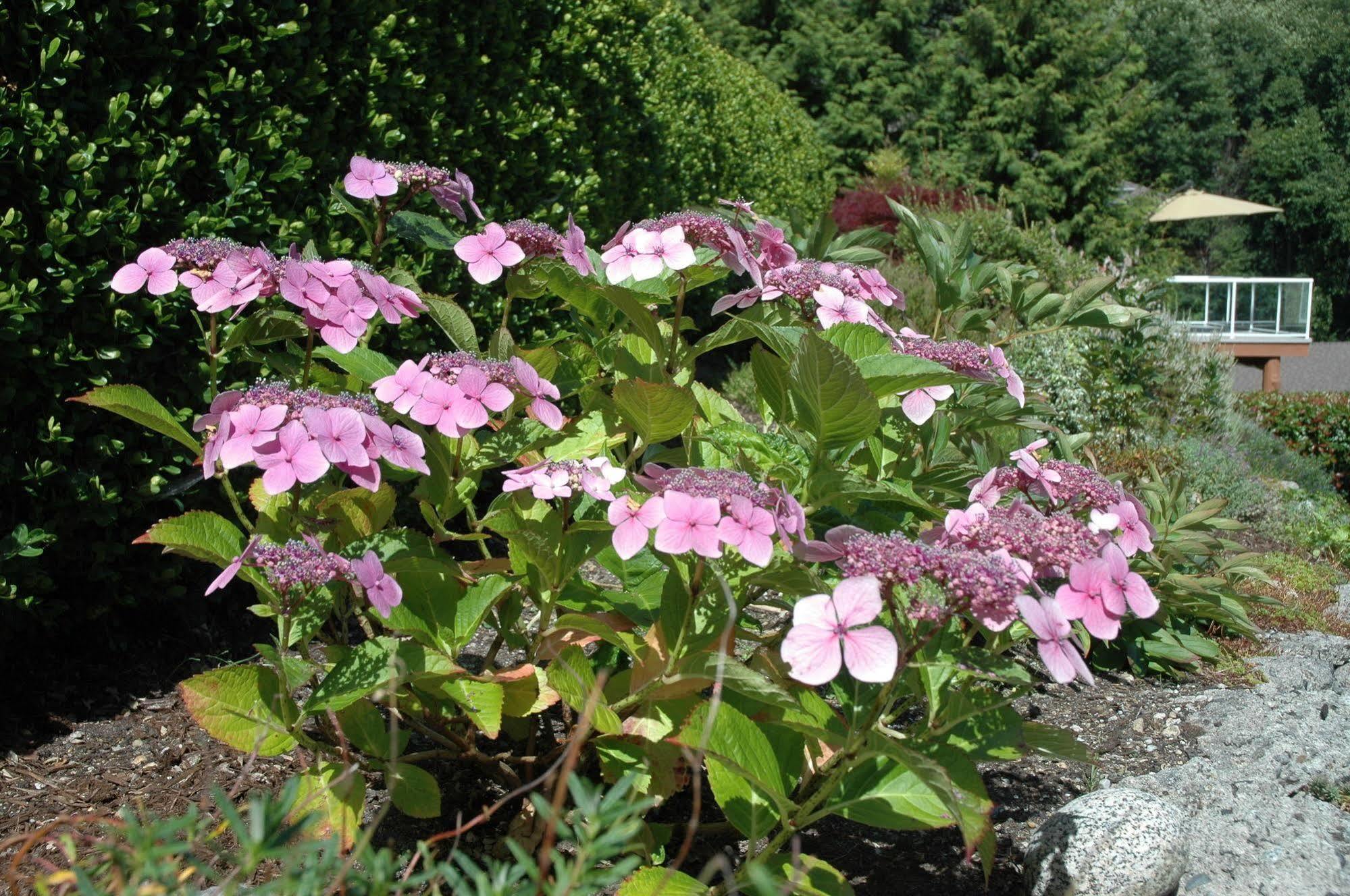 At The Shore Bed And Breakfast Sechelt Bagian luar foto